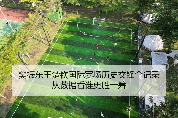 樊振东王楚钦国际赛场历史交锋全记录 从数据看谁更胜一筹